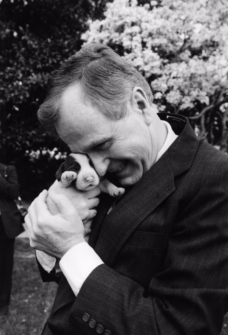 Image: President George H.W. Bush  holds one of first dog Millie's six puppies for the press
