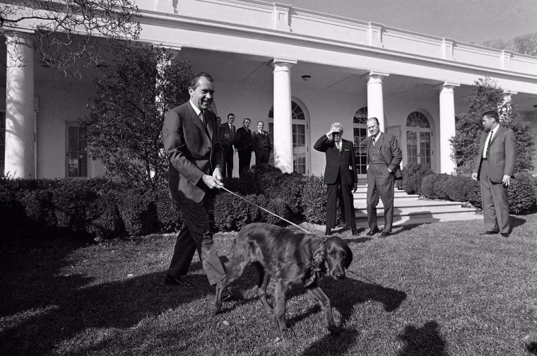 Image: President Richard Nixon showed off Tim, his new six-month-old Irish Setter.