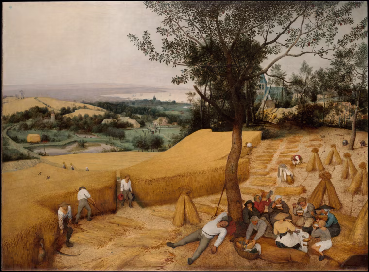 The Harvesters, oil on wood by Pieter Bruegel the Elder, 1565. This panel belongs to a series and the cycle originally included six paintings showing the times of the year. Bruegel's series is a watershed in the history of western art, the religious pretext for landscape painting has been suppressed in favor of a new humanism.