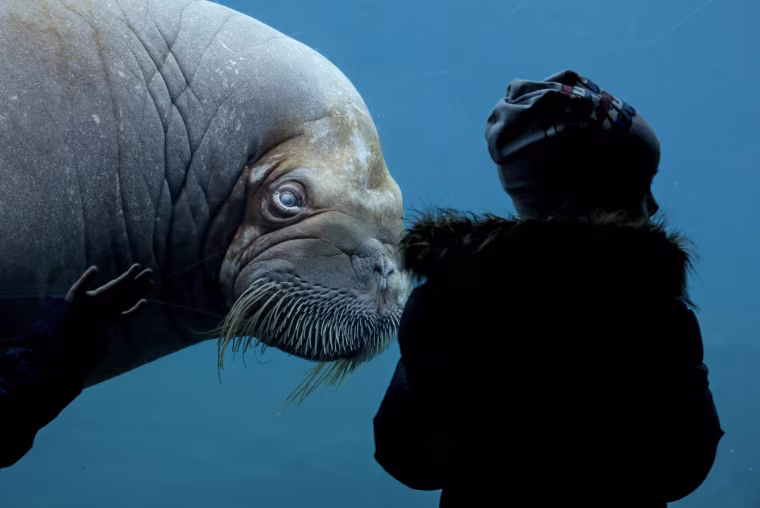 Image: TOPSHOT-GERMANY-ANIMAL