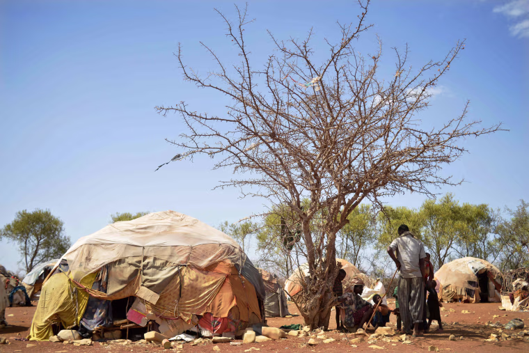 Image: Internally displaced men and children shelter from the sweltering afternoon sun on March 14 at a makeshift camp on the outskirts of Baidoa, where thousands of people arrive daily after they fled the parched countryside.