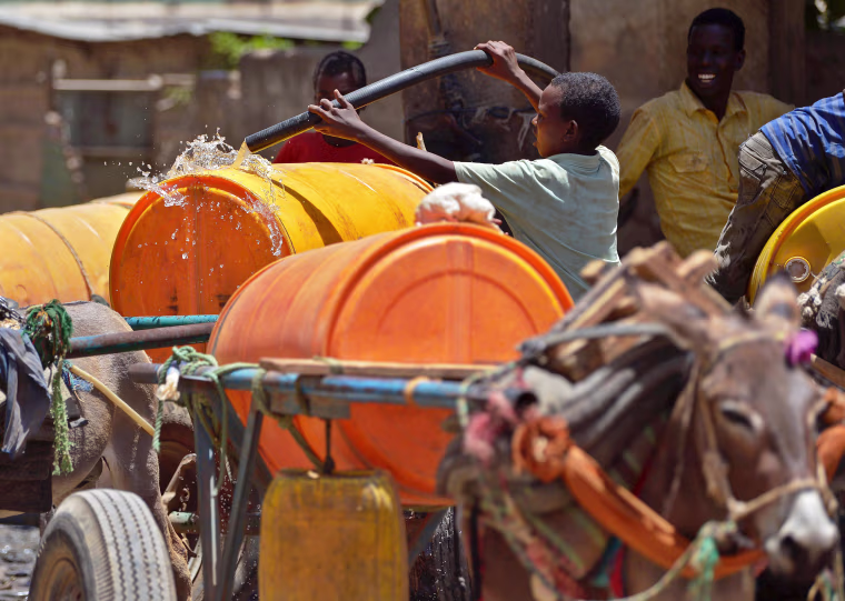Image: A young boy fills a water drum loaded on a donkey-cart before selling it on March 15 in Baidoa.