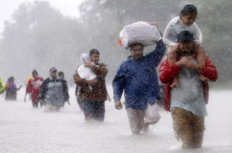 Image: Residents wade through flood waters from Tropical Storm Harvey in Beaumont Place, Houston