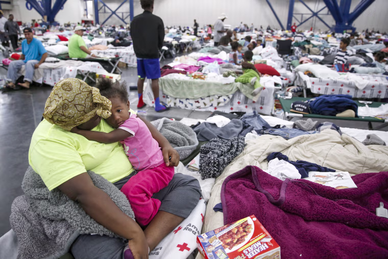 Image: Harvey