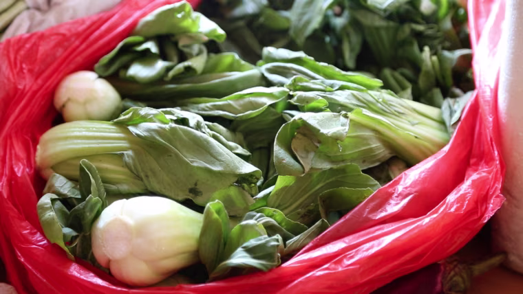 Bok choy purchased from Weee! waits to be picked up at a restaurant in New Jersey.