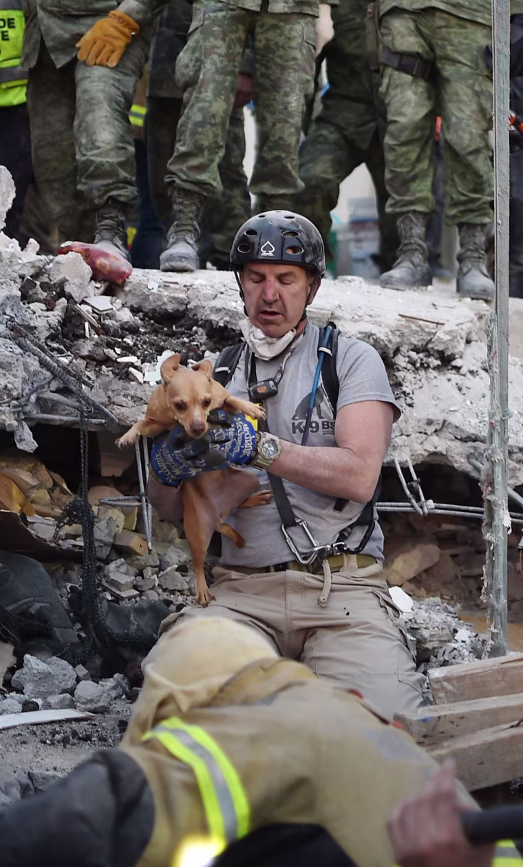 Image: A rescuer pulls a dog out of the rubble during the search for survivors in Mexico City