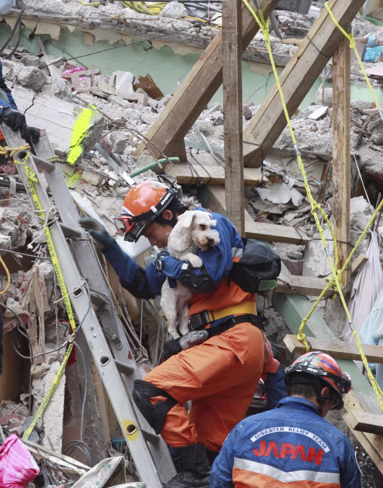 Image: Survivors rescue works continue despite aftershock in Mexico