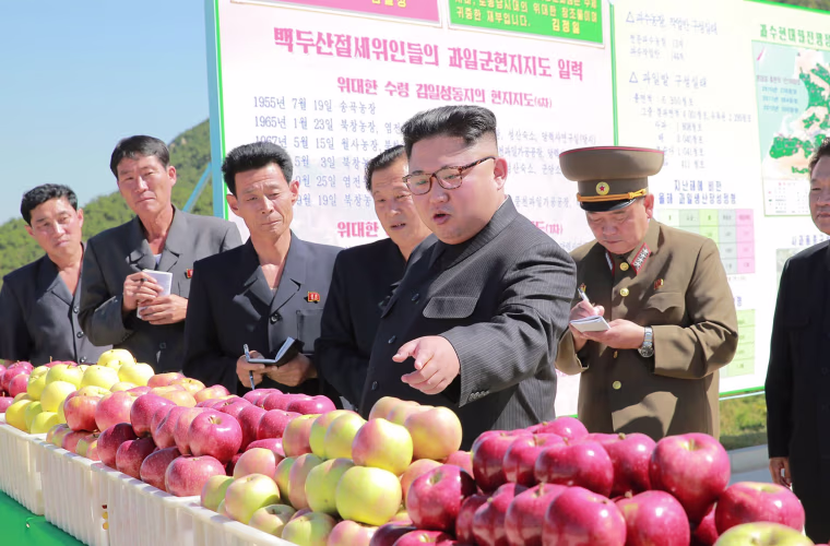 Image: Kim Jong Un
