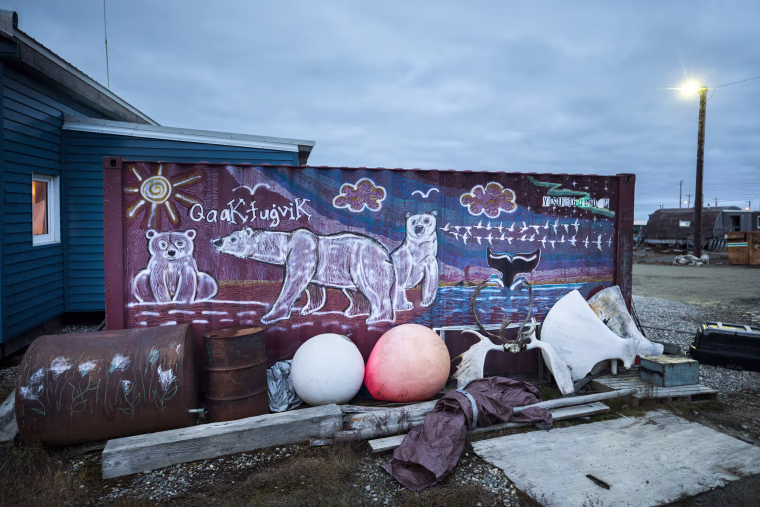 Image: Threatened Polar Bears Find Sanctuary in Alaskan Village