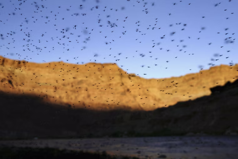 Image: Five-year Drought Threatens Colorado River States' Water and Power