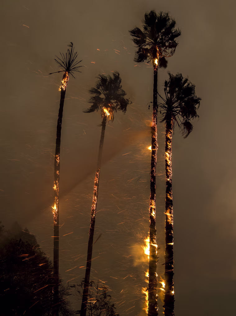 Image: Thomas fire burns in Ventura County, California