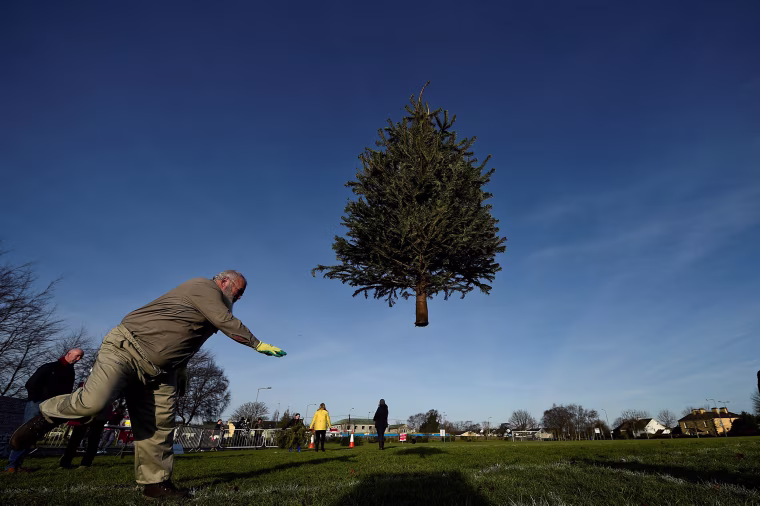 Image: A man participates in a Christmas tree throwing competition, in the County Clare town of Ennis