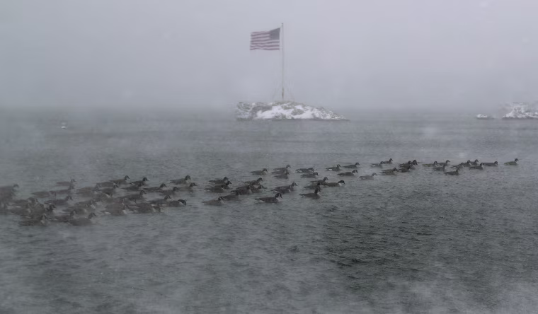 Image: Massive Winter Storm Brings Snow And Heavy Winds Across Large Swath Of Eastern Seaboard