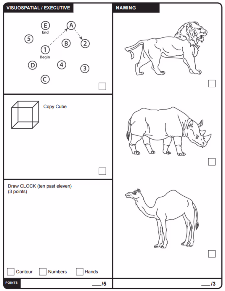 Image: Moca Test
