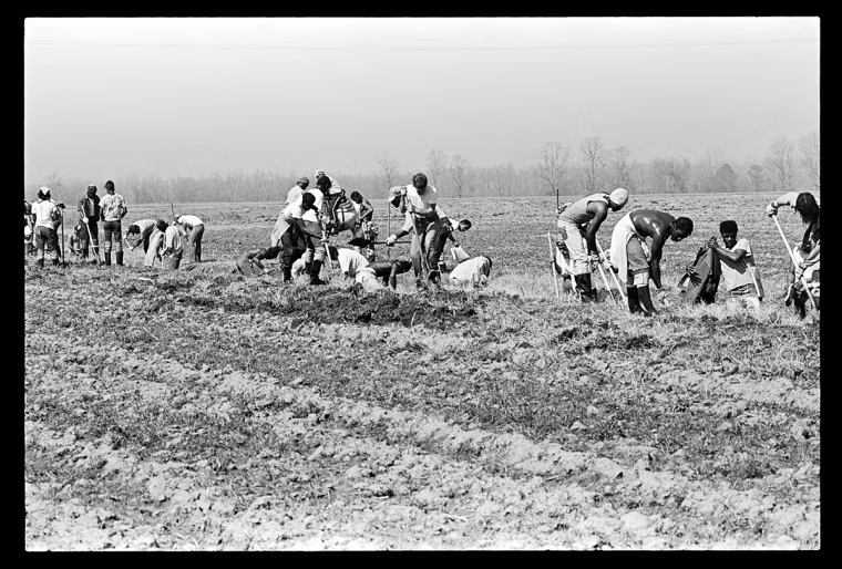 Image: DITCH DIGGING, 1980.