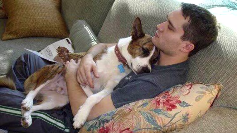 Dog owners warn of pet suffocation risk after tragic accident involving chip bag