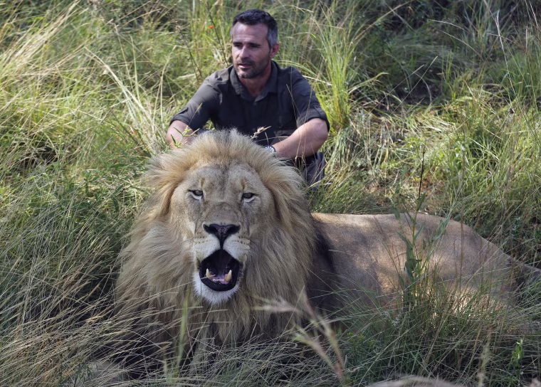 Image: Lion whisperer Kevin Richardson