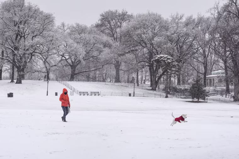 Image: A person walks their dog through the snow during a storm in the Brooklyn borough of New York City
