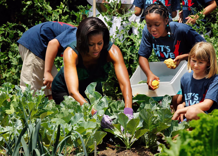 Image: Michelle Obama