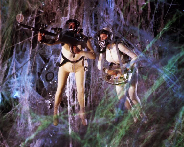 Fantastic Voyage