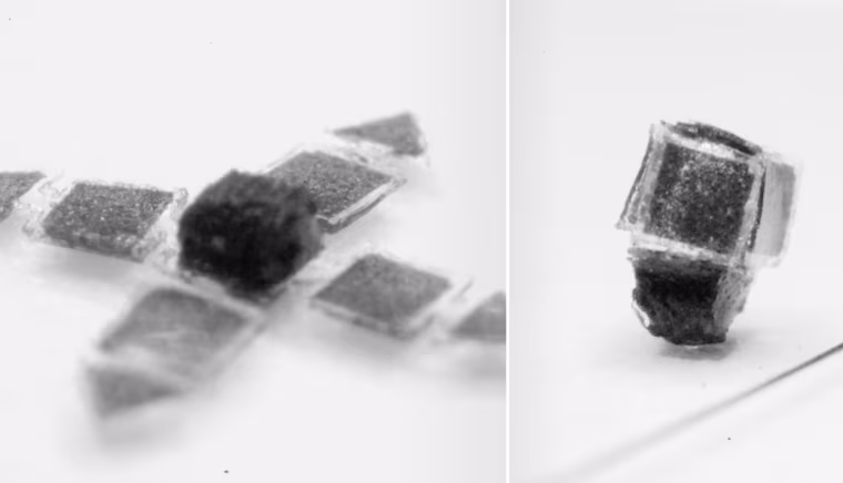 Robots being developed at the University of Toronto resemble unfolded cubes, with four rectangular arms that fold up to grasp things.
