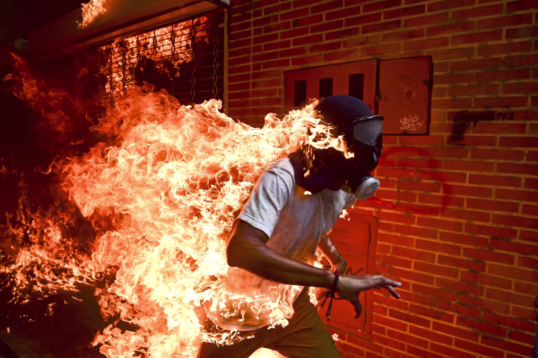 Image: Picture of the Year 2018 winner