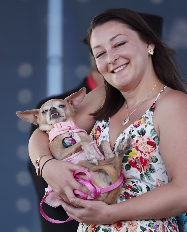 Image: World's Ugliest Dog Contest
