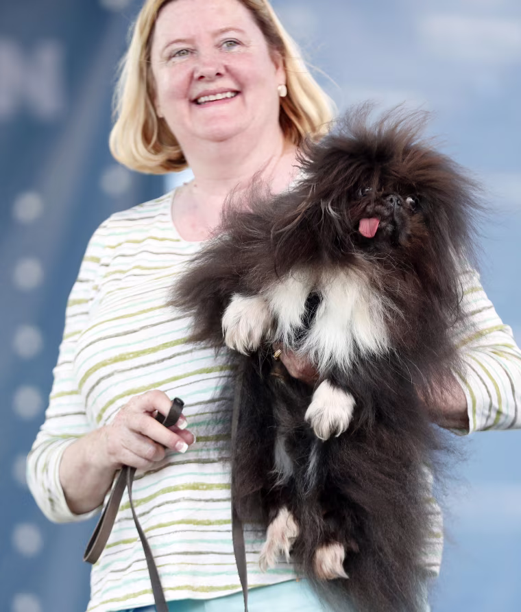 Image: World's Ugliest Dog Contest