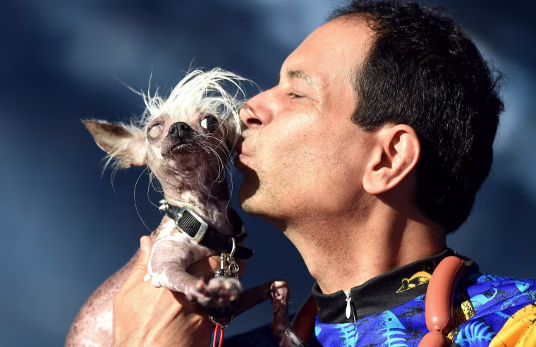 Image: World's Ugliest Dog Contest