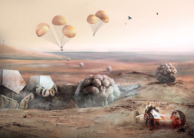 Image: MACH Habitat