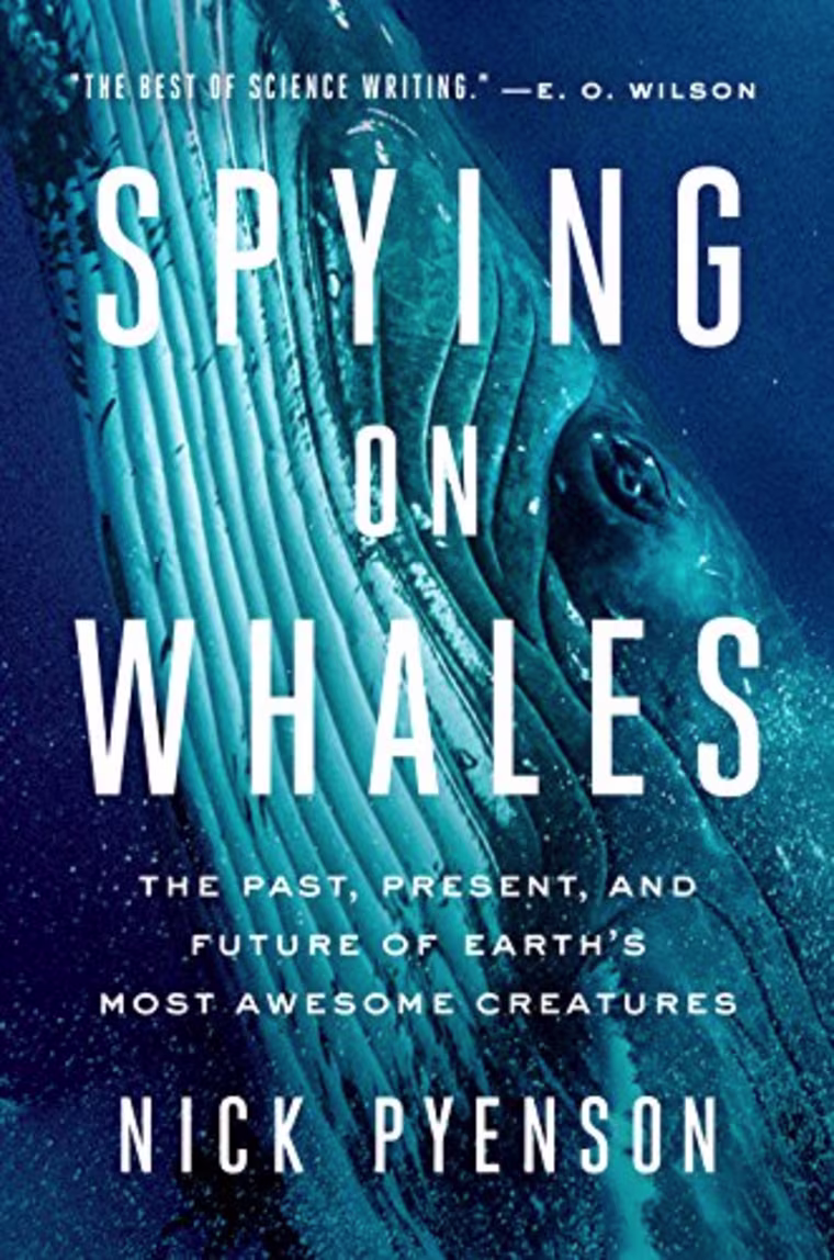 Spying on Whales