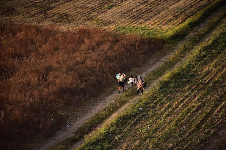 Image: A migrant family walks through a field in Croatia in 2015