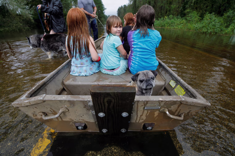 Image: Iva Williamson, 4 years old, peers behind her as she joins neighbors and pets in fleeing rising flood waters in the aftermath of Hurricane Florence in Leland, North Carolina