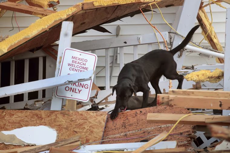 Image: Recovery Efforts Continue In Hurricane-Ravaged Florida Panhandle