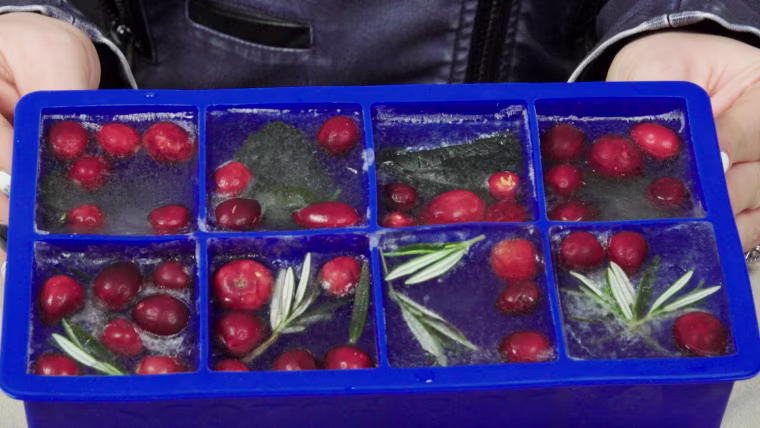 Cranberry, rosemary and mint ice cubes.