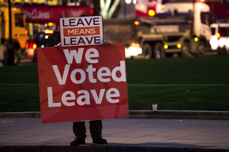 Image: A pro-Brexit supporter