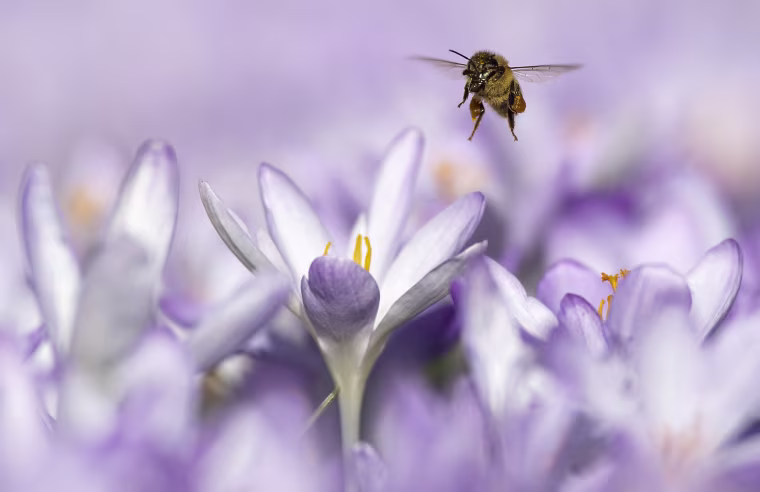 Image:
