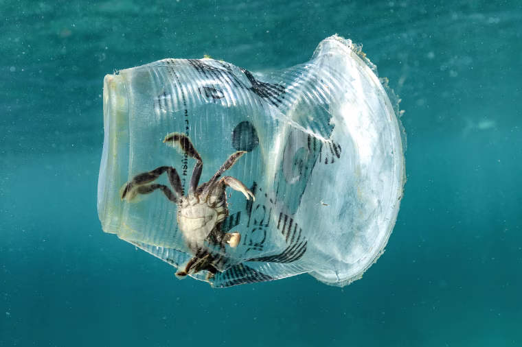 Image: Plastic Waste in Verde Island, Philippines