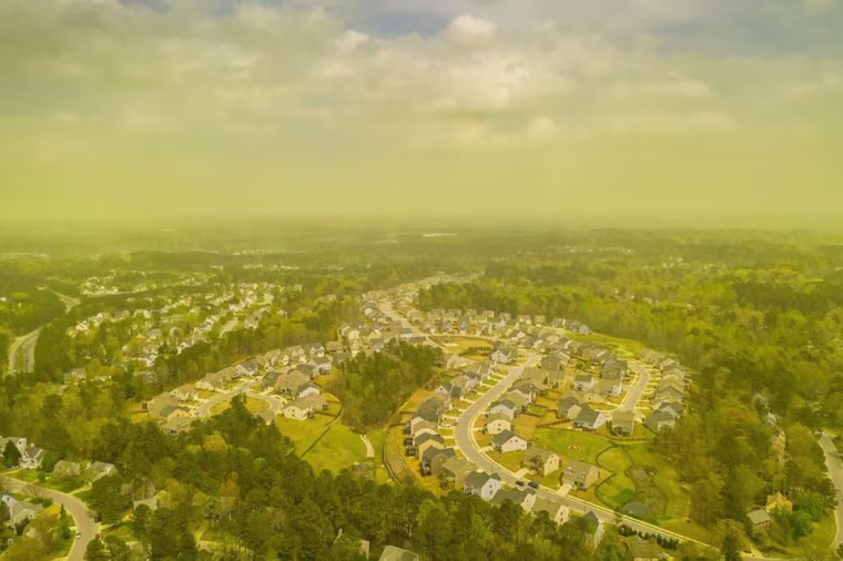 Image: An aerial view shows pollen haze tinting the environment yellow over an area in Durham, North Carolina