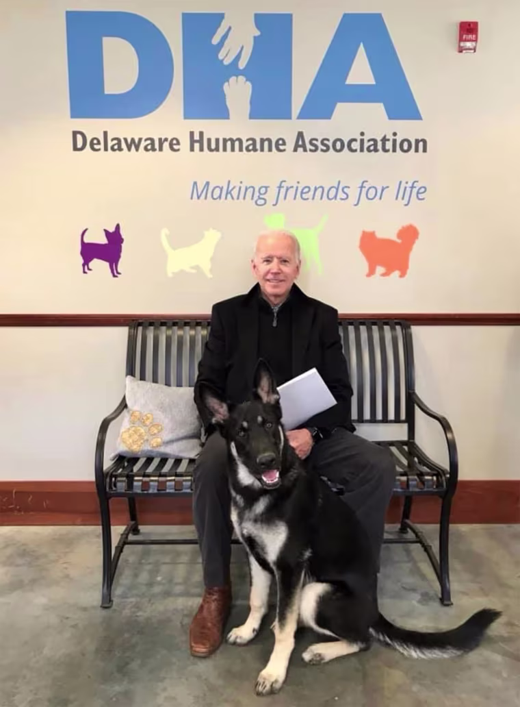 Former vice president and 2020 presidential candidate, Joe Biden, poses for a portrait with his newly adopted dog, Major.