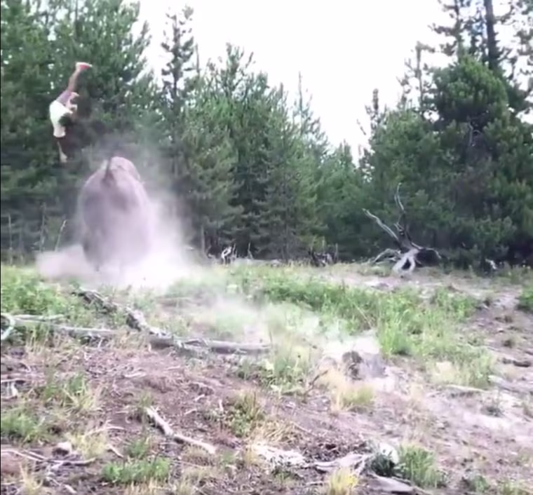 Screen grab from Twitter account @haileyydayton showing the moment a young girl was attacked by a bison at Yellowstone National Park.