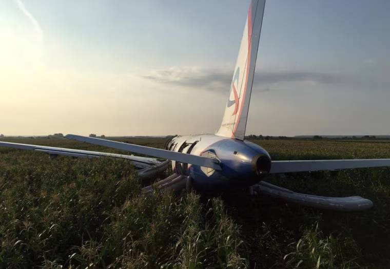 The Ural Airlines Airbus 321 passenger plane sits in a field following an emergency landing near Zhukovsky International Airport in Russia on Aug. 15, 2019.