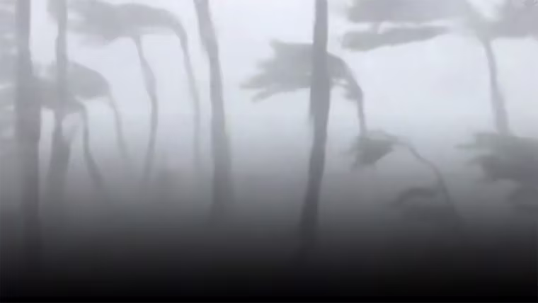 Image: Storm damaged home