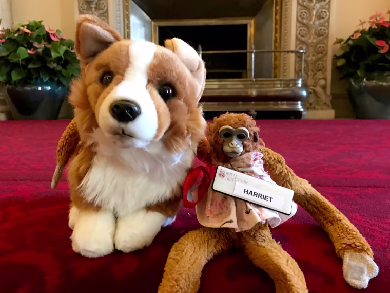 Image: Harriet the Monkey with her new friend, Rex the Corgi, at Buckingham Palace.