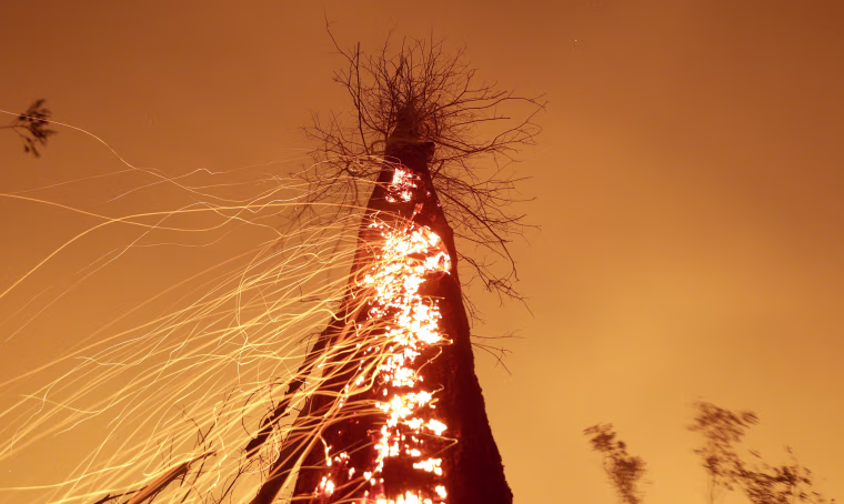 Image: A tract of Amazon jungle burns as it is cleared by farmers in Rio Pardo