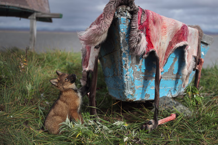 Image: Rising Sea Levels Threaten Remote Alaskan Village Of Kivalina