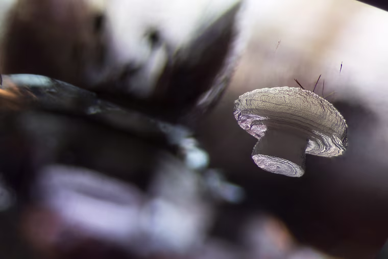 Image: Cristobalite crystal suspended in its quartz mineral host