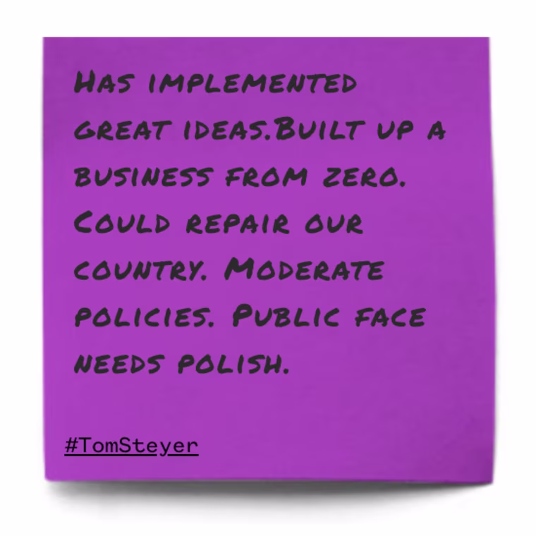 "Has implemented great ideas.Built up a business from zero. Could repair our country. Moderate policies. Public face needs polish."