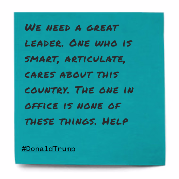 We need a great leader. One who is smart, articulate, cares about this country. The one in office is none of these things. Help