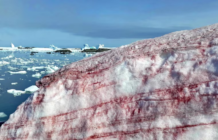 The ice around Ukraine's Vernadsky Research Base, located on Galindez Island, off the coast of Antarctica.